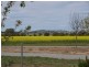 Lot 1 Shepherds Siding road, Wagga Wagga NSW 2650