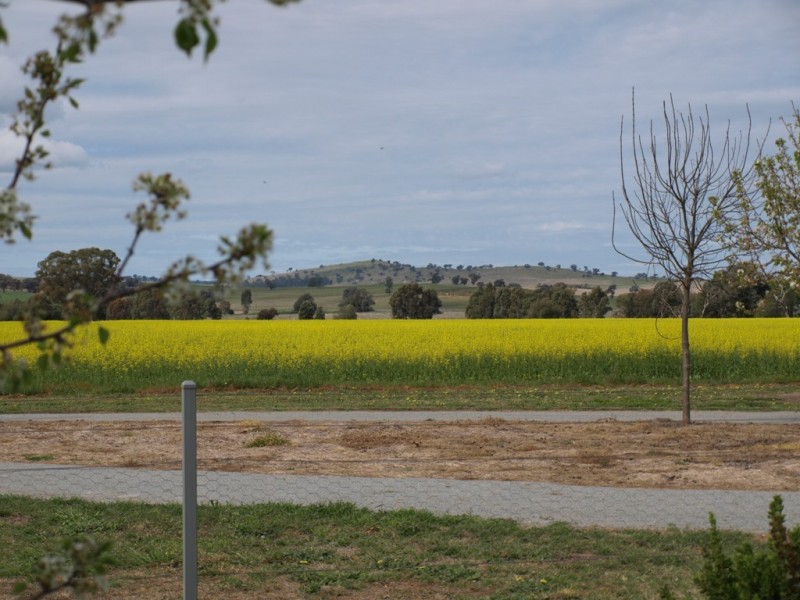 Lot 1 Shepherds Siding road, Wagga Wagga NSW 2650