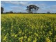 Tocumwal NSW 2714