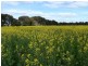 Tocumwal NSW 2714