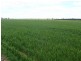 Tocumwal NSW 2714