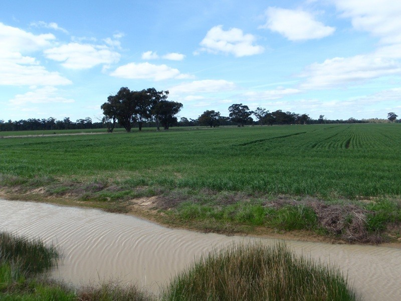Tocumwal NSW 2714