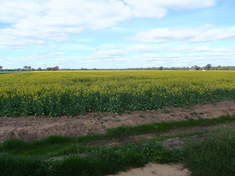 Tocumwal NSW 2714