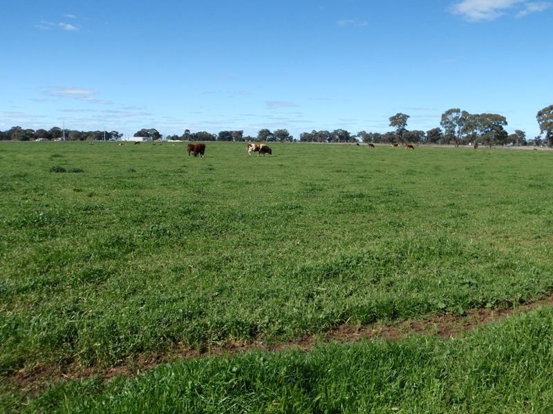 “Arakoon” Broughans Rd, Finley NSW 2713