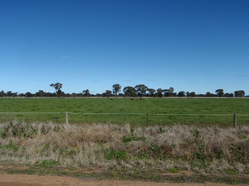 “Arakoon” Broughans Rd, Finley NSW 2713