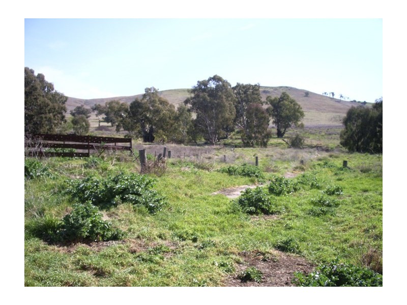 111 Gundagai Road, Coolac NSW 2727