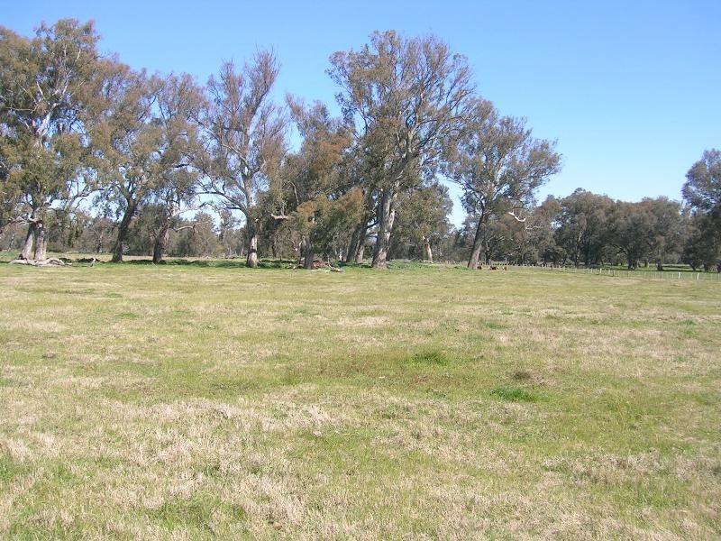 146 Island Road, Bonegilla VIC 3691