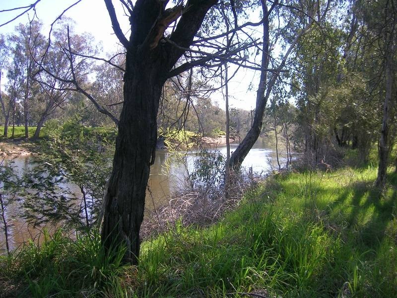 146 Island Road, Bonegilla VIC 3691