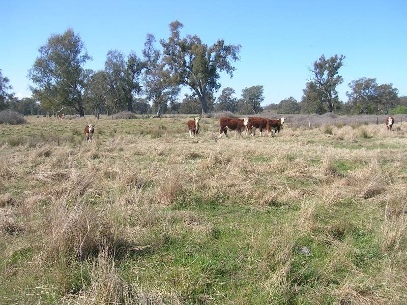 146 Island Road, Bonegilla VIC 3691