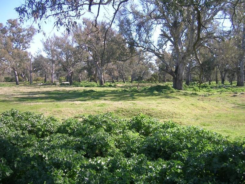 146 Island Road, Bonegilla VIC 3691