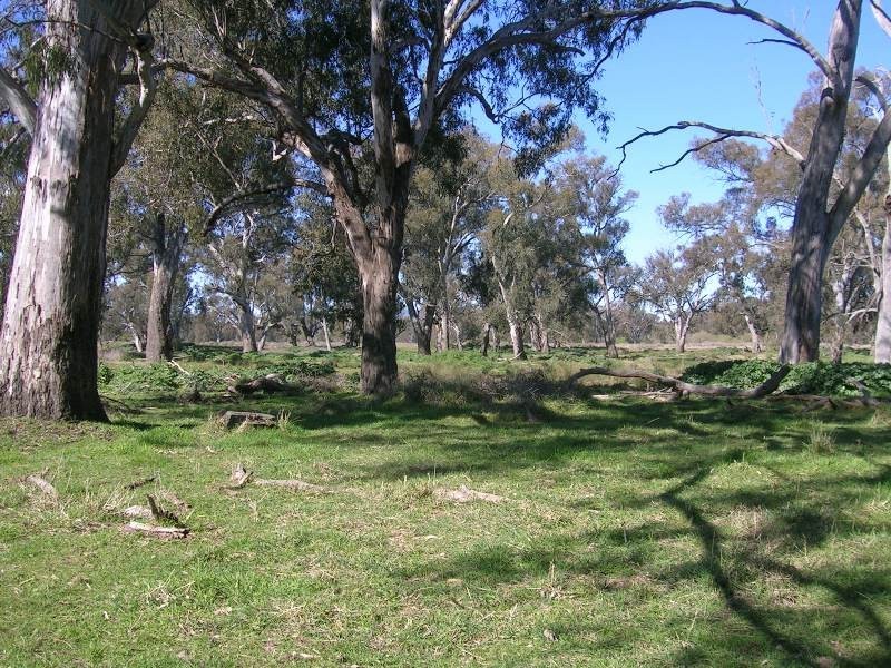 146 Island Road, Bonegilla VIC 3691