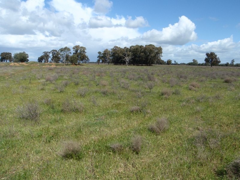 “Ceramic”, Moonee Swamp Road, Deniliquin NSW 2710
