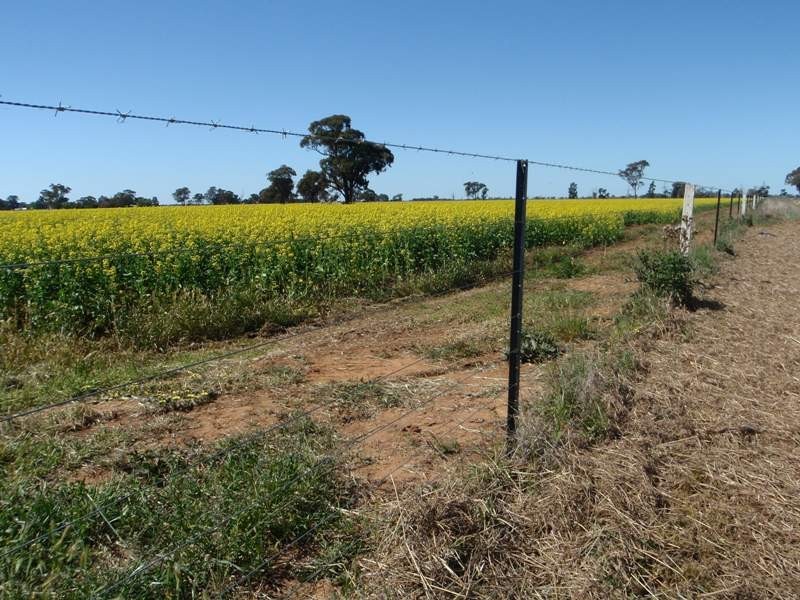 “Ceramic”, Moonee Swamp Road, Deniliquin NSW 2710