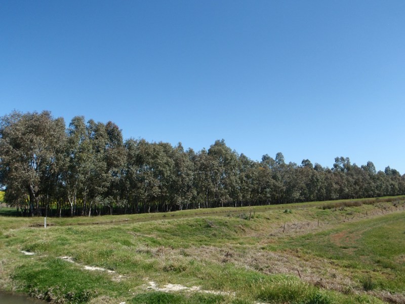 “Ceramic”, Moonee Swamp Road, Deniliquin NSW 2710