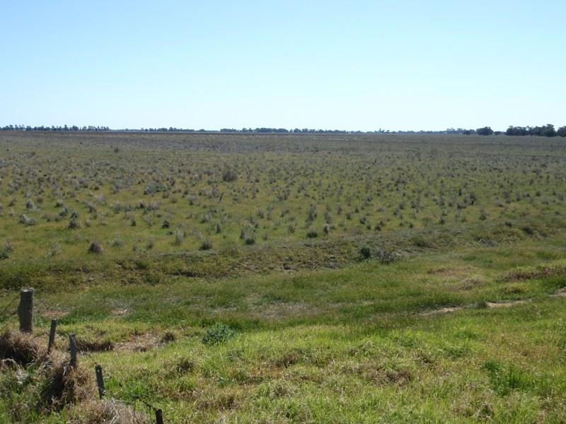 “Ceramic”, Moonee Swamp Road, Deniliquin NSW 2710