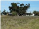 655 Deepwater Road, Matong NSW 2652