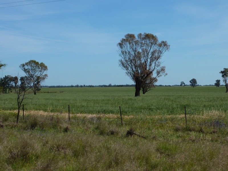 655 Deepwater Road, Matong NSW 2652