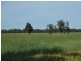 655 Deepwater Road, Matong NSW 2652