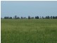 655 Deepwater Road, Matong NSW 2652