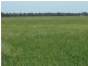 655 Deepwater Road, Matong NSW 2652