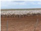 Booligal NSW 2711