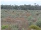 Booligal NSW 2711