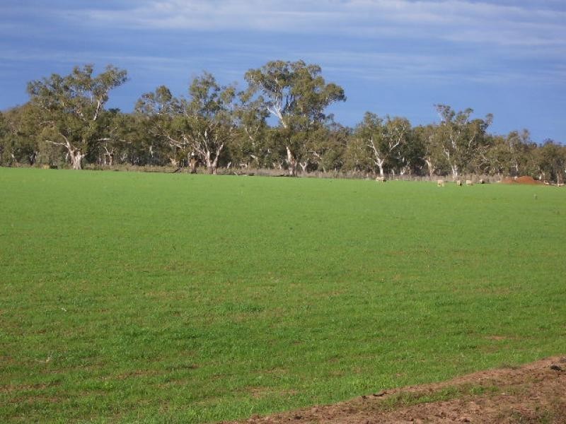 Narrandera NSW 2700