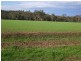 Narrandera NSW 2700