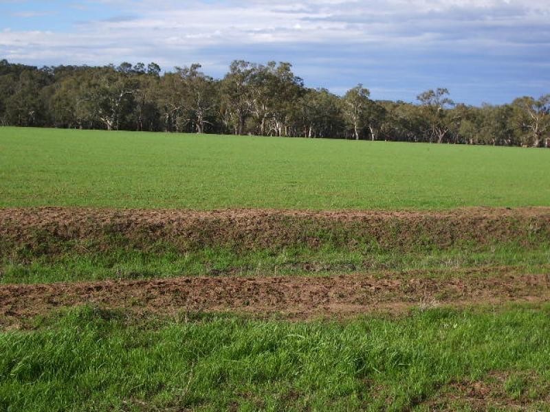 Narrandera NSW 2700