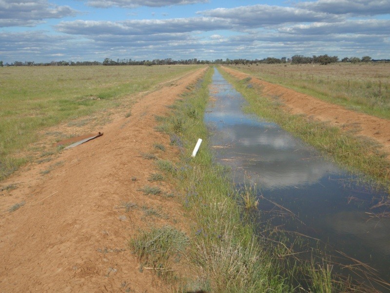 1 Hogans Lane, Deniliquin NSW 2710