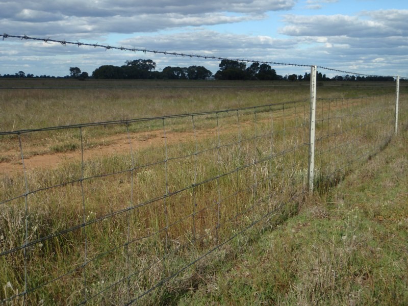 1 Hogans Lane, Deniliquin NSW 2710