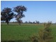 - Kingston Road. Galore via, Wagga Wagga NSW 2650