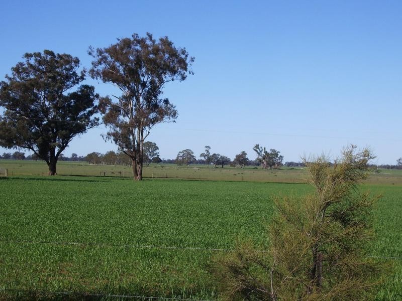 - Kingston Road. Galore via, Wagga Wagga NSW 2650