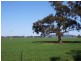 - Kingston Road. Galore via, Wagga Wagga NSW 2650