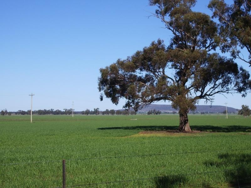 - Kingston Road. Galore via, Wagga Wagga NSW 2650