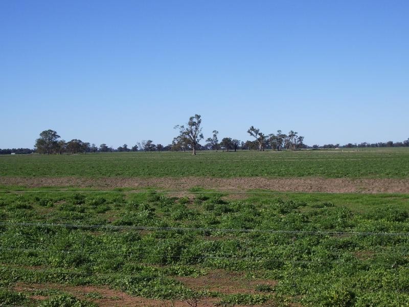 - Kingston Road. Galore via, Wagga Wagga NSW 2650