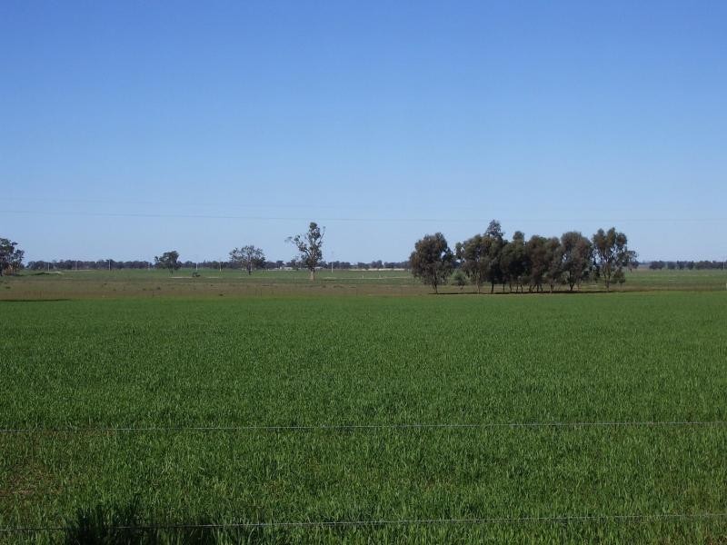 - Kingston Road. Galore via, Wagga Wagga NSW 2650