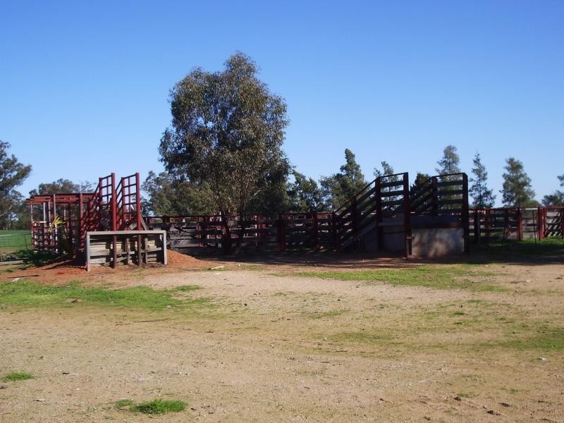 - Kingston Road. Galore via, Wagga Wagga NSW 2650