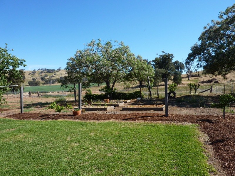 900 Yabtree Road, Wagga Wagga NSW 2650