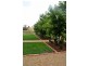 900 Yabtree Road, Wagga Wagga NSW 2650