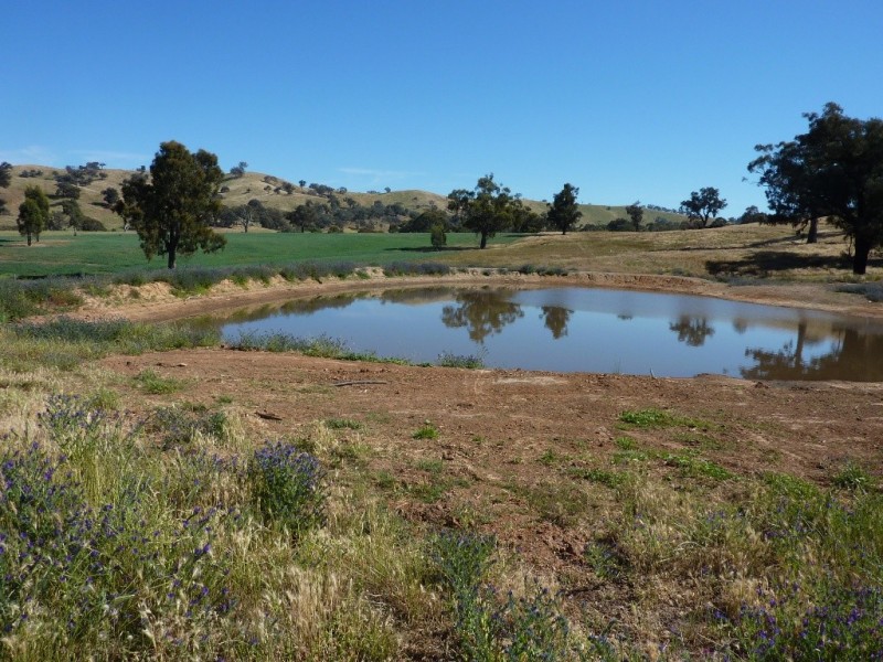900 Yabtree Road, Wagga Wagga NSW 2650