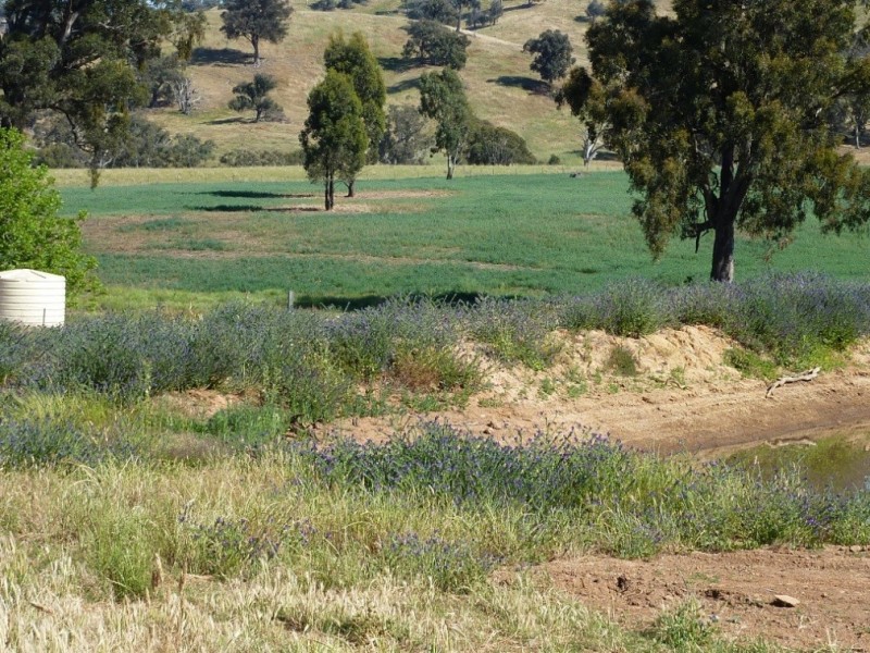 900 Yabtree Road, Wagga Wagga NSW 2650