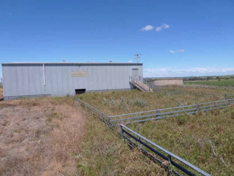 Campbellfields Road, Boorowa NSW 2586