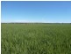 Campbellfields Road, Boorowa NSW 2586