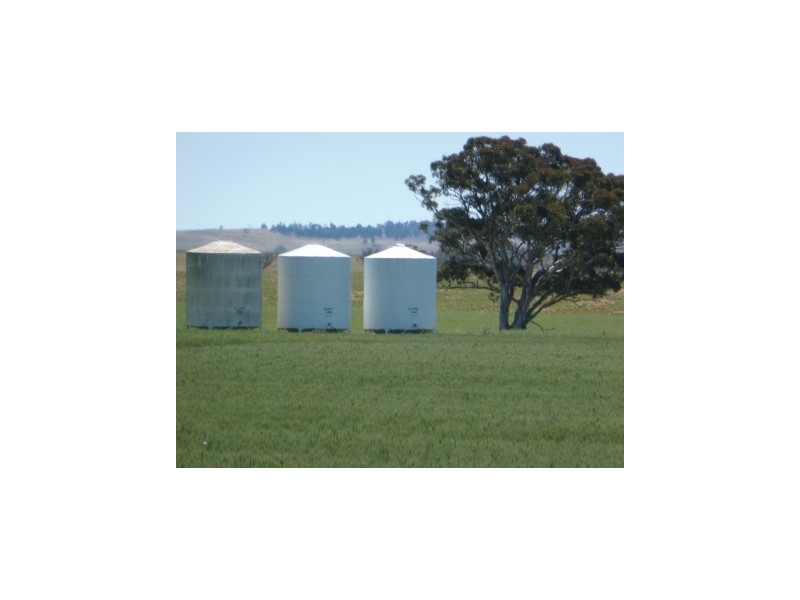 Campbellfields Road, Boorowa NSW 2586
