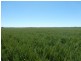 Campbellfields Road, Boorowa NSW 2586
