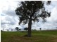 2 Fullerton Road, Crookwell NSW 2583