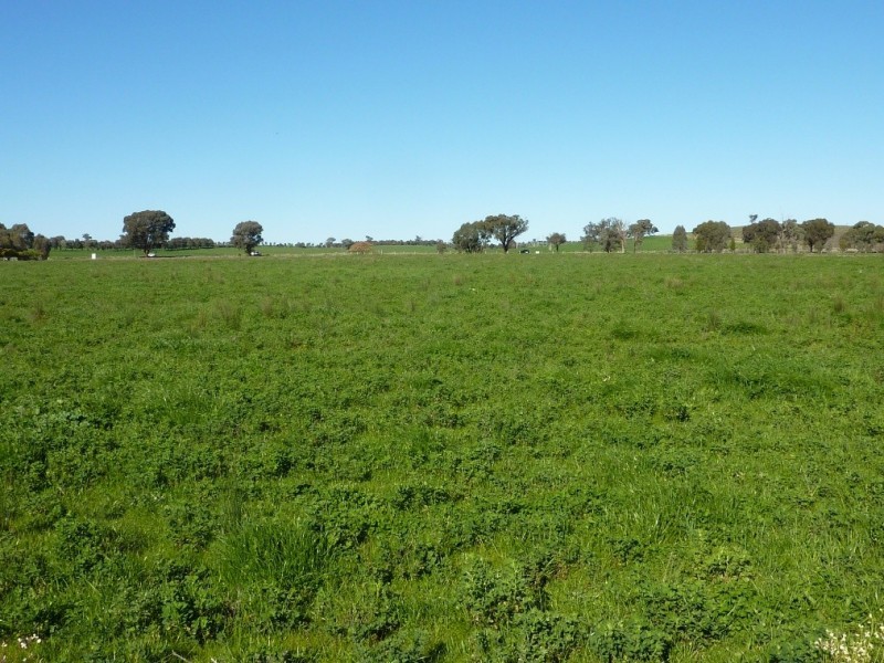 1660 Sturt Highway, Wagga Wagga NSW 2650