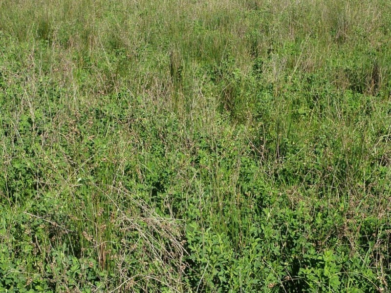 1660 Sturt Highway, Wagga Wagga NSW 2650