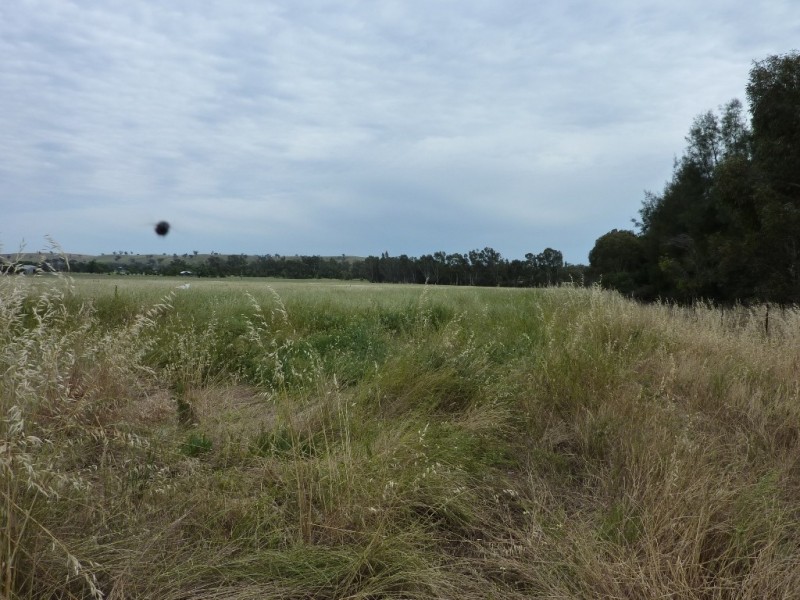 1660 Sturt Highway, Wagga Wagga NSW 2650